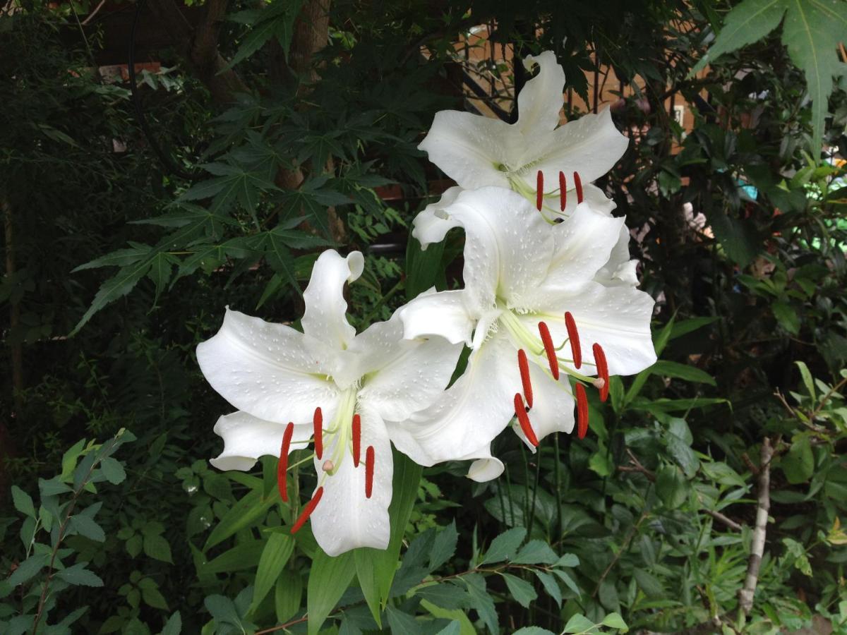 Otsu Nature Garden Akiruno Dış mekan fotoğraf