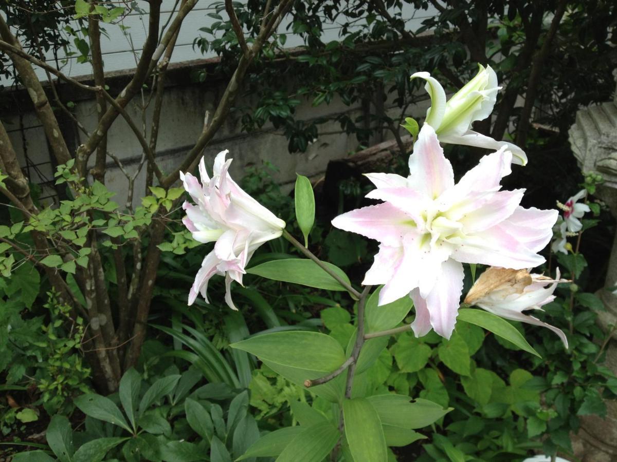 Otsu Nature Garden Akiruno Dış mekan fotoğraf