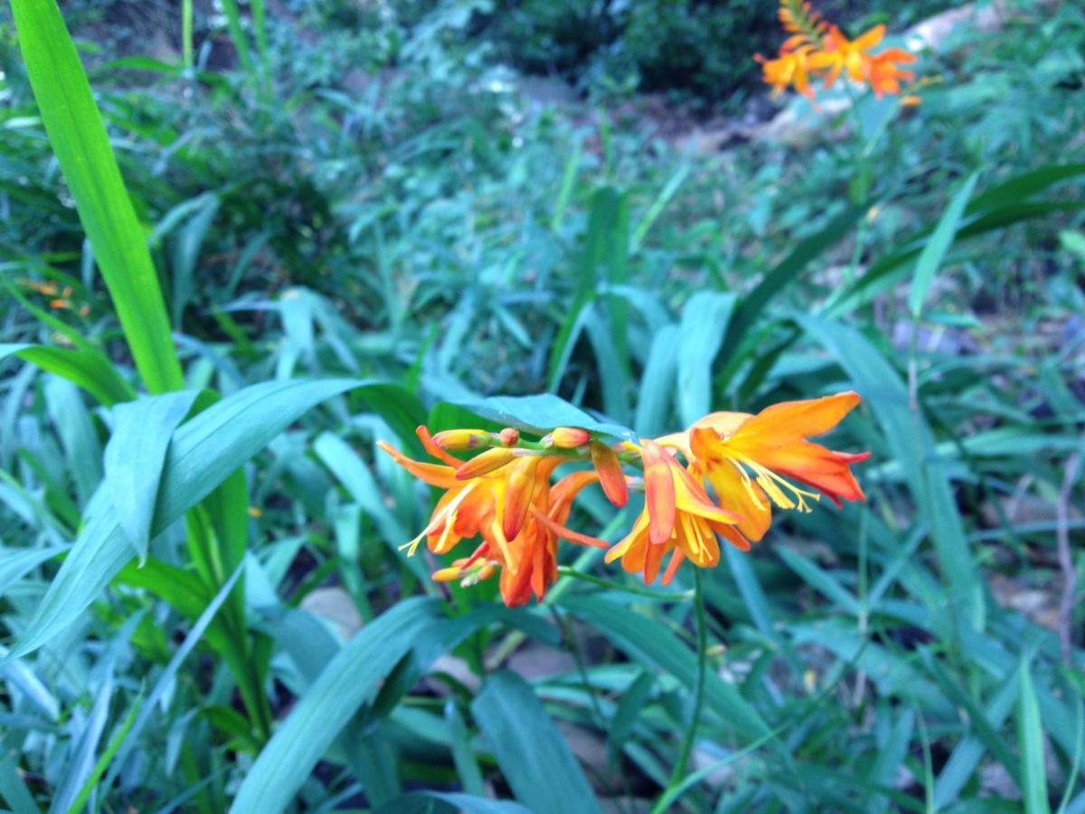 Otsu Nature Garden Akiruno Dış mekan fotoğraf