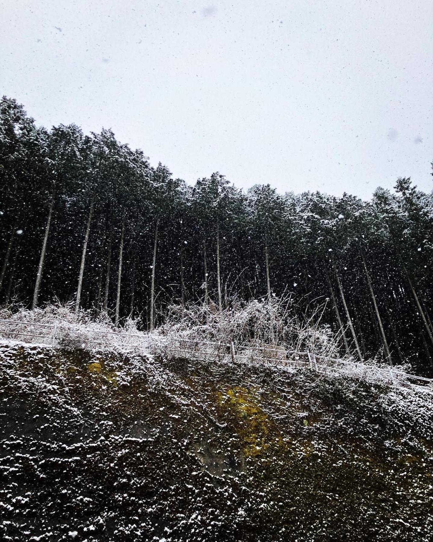 Otsu Nature Garden Akiruno Dış mekan fotoğraf