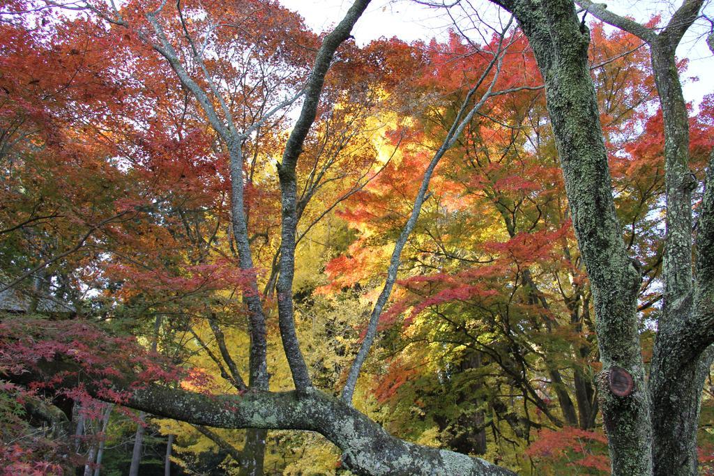 Otsu Nature Garden Akiruno Dış mekan fotoğraf