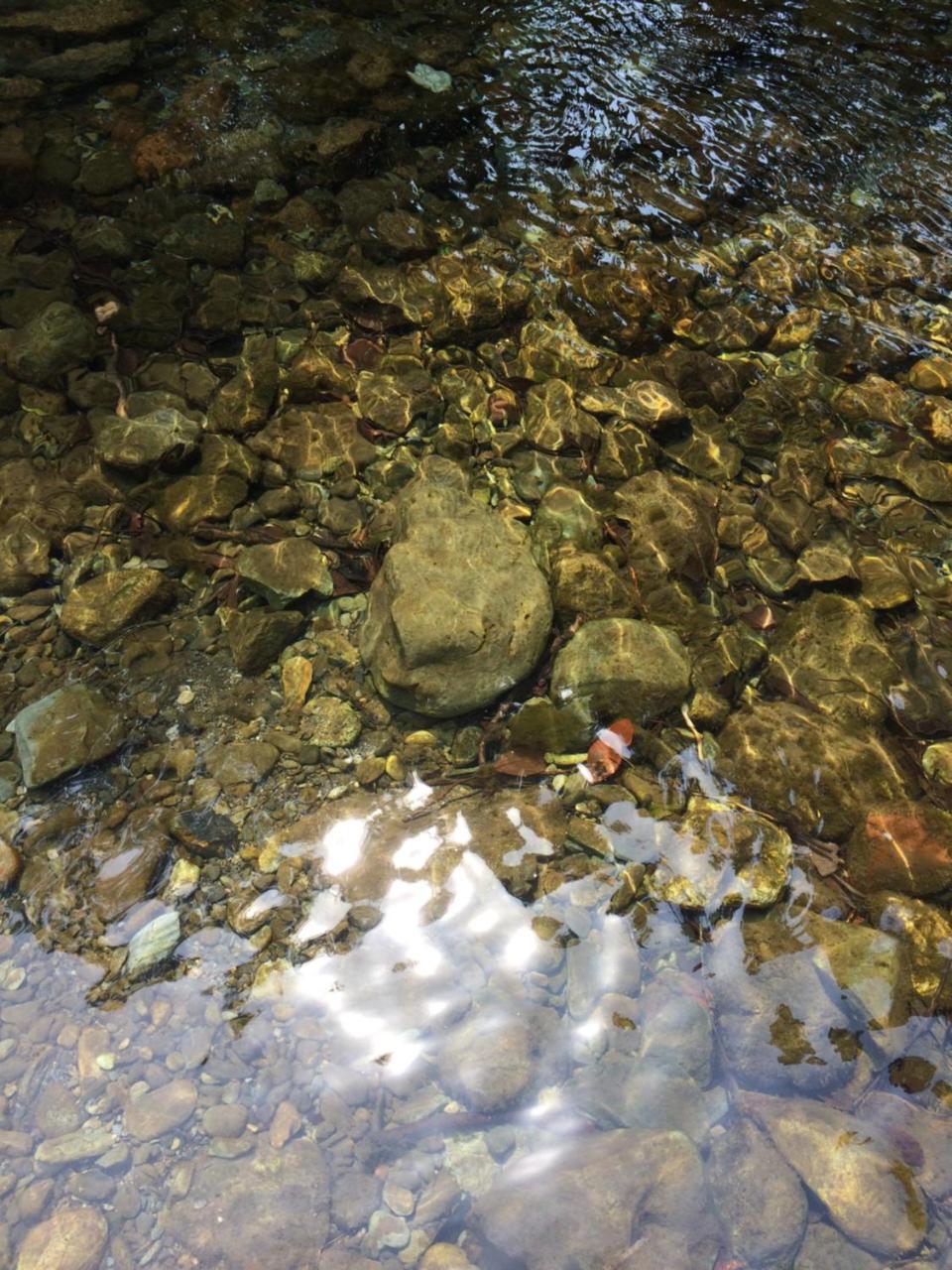 Otsu Nature Garden Akiruno Dış mekan fotoğraf